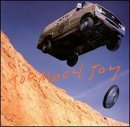 Too Much Joy lyrics