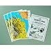3 D Landforms Set of 3