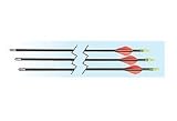 Allen Company 26-Inch Fiberglass Youth Arrows (3 Pack)