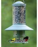 Wingscapes Auto Feeder