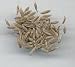 Cumin seed packet