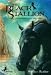 Search : The Black Stallion
