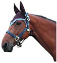 BR Fly/ear net event - Large (full) orange