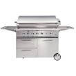DCS 48 Free Standing Gas Grill