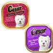Cesar Canine Cuisine Beef Variety Pack Wet Dog Food
