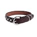 COLLAR  LEAD SET - LARGE - 18-22 - Olympus Leather Studded Collar