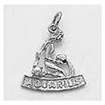 Aquarius Charm
