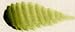 Holbein Artist's Watercolor 15ml Tube (Olive Green) W274
