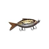 Motolure's Chuck Woolery Signature Series Moto Minnow