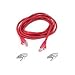 Belkin 50ft  CAT5E Red Patch Cord Snagless - D/ship Only