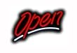 Open Script Small Neon Sign