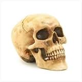 Grinning Skull