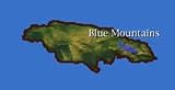 Review Ann Marie  / Jamaican Blue Mountain Coffee