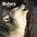 Wolves 2010 Plato Wall