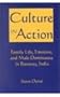 Culture in Action: Family Life, Emotion, and Male Dominance in Banaras, India