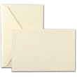 100 Ecruwhite Kid Finish 64lb Gift Enclosure Cards