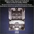 Echoes of the American Cathedral: Music of David Ashley White