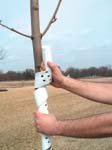 36TP A.M. Leonard's Vinyl Tree Guards
