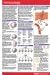 Book Immunology Pockets Perma Charts