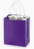 Mini Purple Gift Bag (2 dozen) - Bulk [Toy]