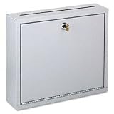 Buddy Products Inter-Office Mailbox, Steel, Small, 3 x 10 x 12 Inches, Platinum (5625-32)