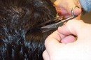 Thirteen Drug Hair Test