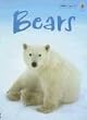 Bears (Beginners Nature: Level 1)