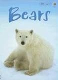 Bears (Beginners Nature: Level 1)