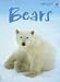 Bears (Beginners Nature: Level 1)