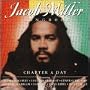 Chapter a Day