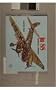 Ju 88 (Schiffer Military History)