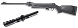 Gamo Delta air rifle