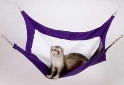 TopDawg Pet Supply Ferret Deluxe Hammock Asst TopDawg Pet Supply Ferret Deluxe Hammock Asst