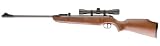 Ruger Air Hawk Combo air rifle