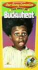 Our Gang Comedies: The Best of Buckwheat