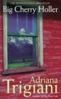 Big Cherry Holler: A Big Stone Gap Novel (Wheeler Compass)