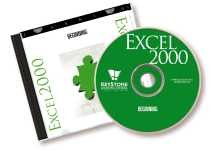 Learning Excel 2000 Databases