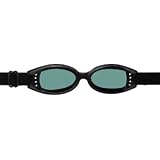 Bobster Touring Goggle, Reflective, Anti-fog Lens