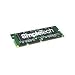 SimpleTech STH4141/64 64MB SDRAM Memory Module for HP