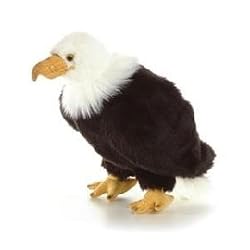 Plush Regal Eagle Bird 10.5"