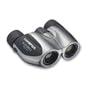 Olympus Roamer 8x21 DPC I Compact Porro Prism Binocular (Black)