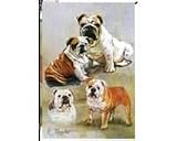 Bulldogs