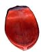 Sporting Goods : Amber Sports Replacement Bladder (Set of 4)