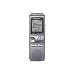 Sony ICD-BX800 2 GB Flash Memory Digital Voice Recorder (Silver)