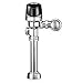 Automotive : Valve, Flush, 1.0 Gpf Sloan G2 8186-1