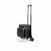 Cellar with Trolley Case Pack 2