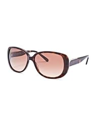 Fashion Sunglasses: Havana Brown Gradient by Calvin Klein