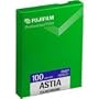 Fujichrome Astia 100F (RAP100F) 4x5 Sheet Film (10 Sheets)