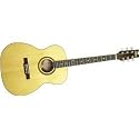 Washburn D10 Series Folk Style Acoustic Guitar