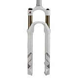 ROCK SHOX Reba RLT Ti DualAir 100mm 29